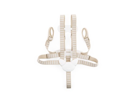 רתמה בז 100501 (בתוספת תשלום)