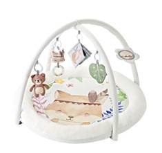 משטח פעילות דגם קומפי